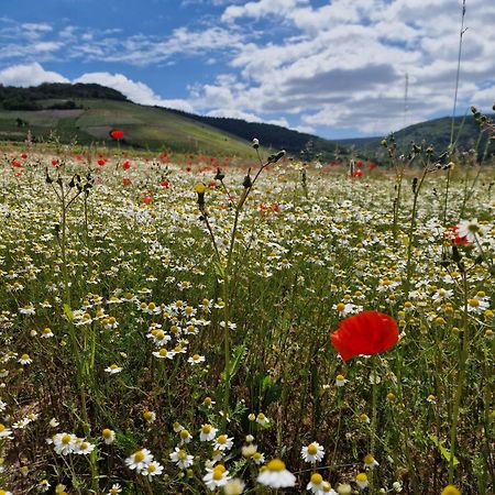 Das Rote Ferienhaus Terlinden ليزا المظهر الخارجي الصورة