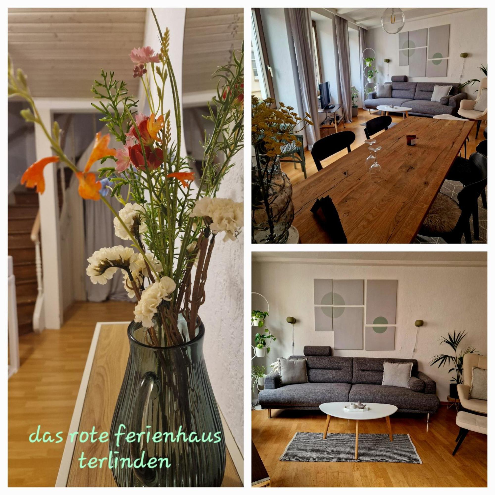 Das Rote Ferienhaus Terlinden ليزا المظهر الخارجي الصورة